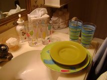 Outdoor Picnic Set For 4 - Plates, Small Plates, Tumblers in Kingwood, Texas